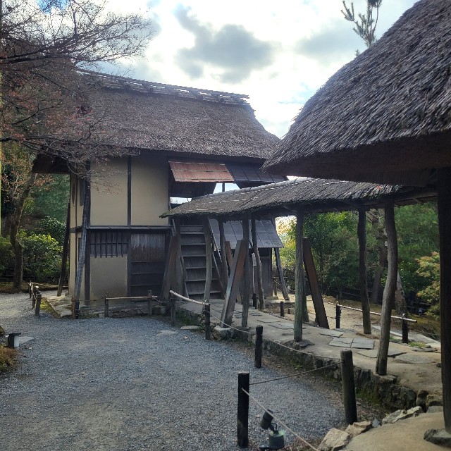 f:id:atoriatoriatori:20230223100613j:image