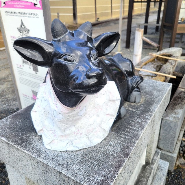 f:id:atoriatoriatori:20230223101407j:image