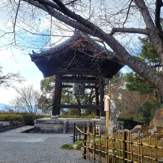 f:id:atoriatoriatori:20230223101415j:image