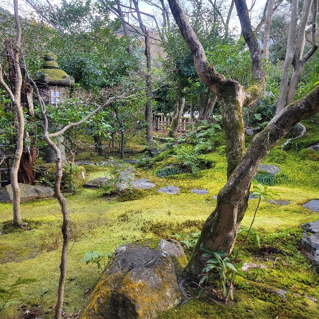 f:id:atoriatoriatori:20230224100500j:image