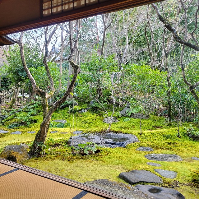 f:id:atoriatoriatori:20230224100529j:image