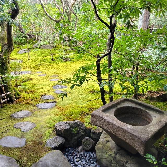 f:id:atoriatoriatori:20230224101206j:image