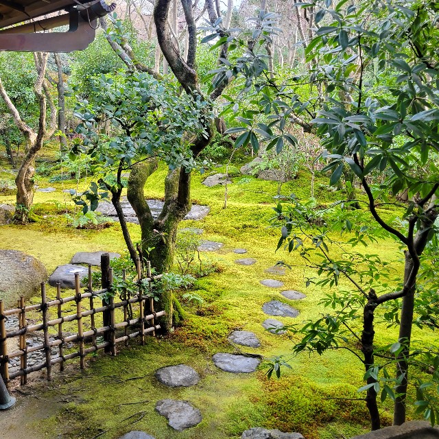 f:id:atoriatoriatori:20230224101222j:image