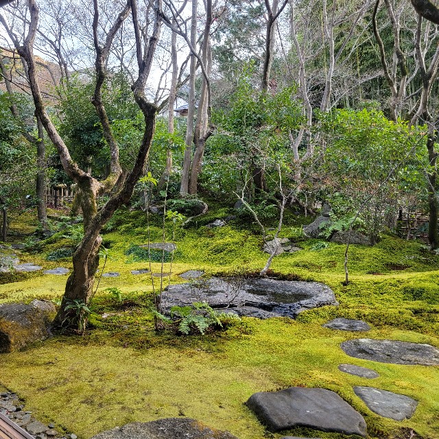 f:id:atoriatoriatori:20230224101616j:image