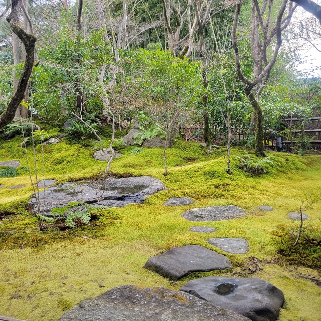 f:id:atoriatoriatori:20230224101702j:image