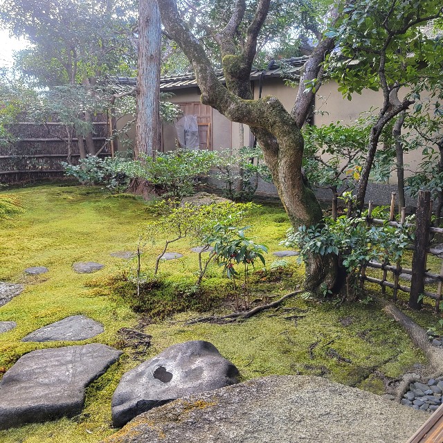 f:id:atoriatoriatori:20230224101710j:image