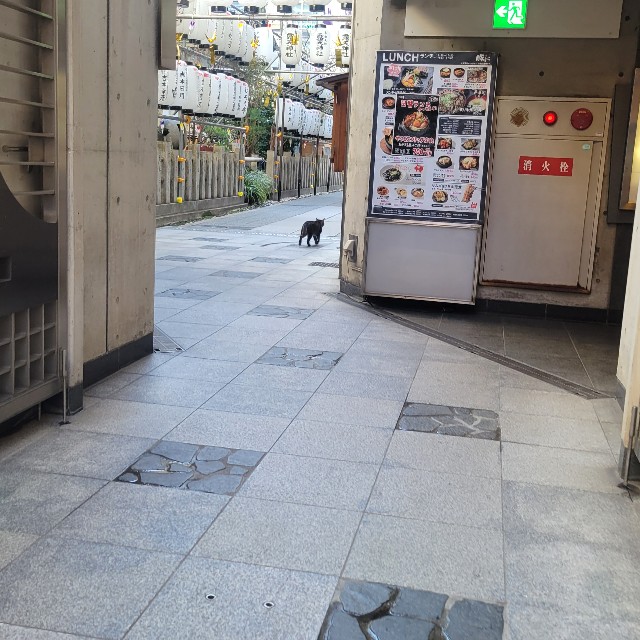 f:id:atoriatoriatori:20230228082818j:image