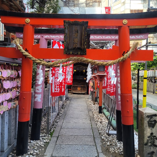 f:id:atoriatoriatori:20230228084703j:image