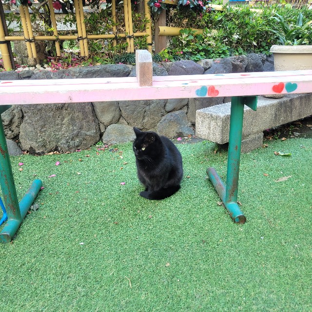 f:id:atoriatoriatori:20230228085247j:image