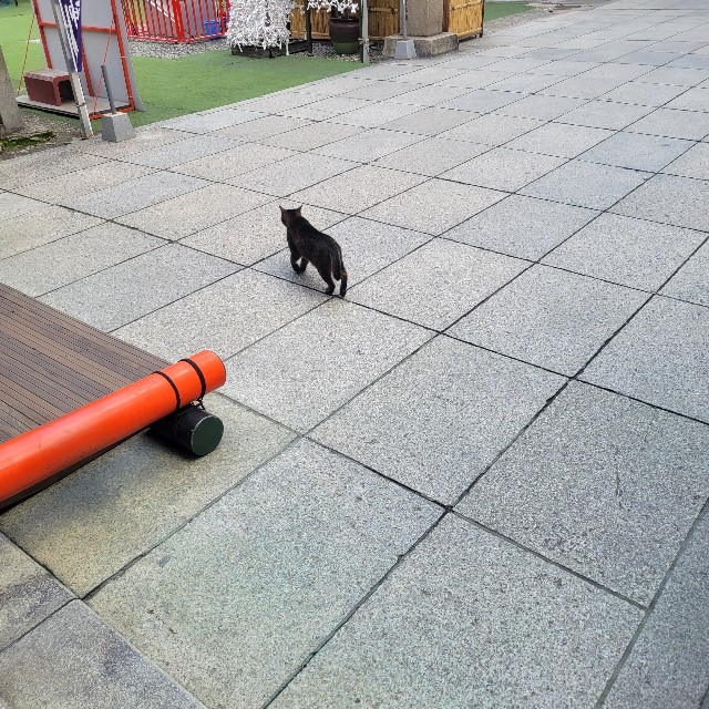 f:id:atoriatoriatori:20230228093050j:image
