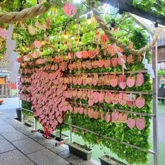 f:id:atoriatoriatori:20230228100533j:image