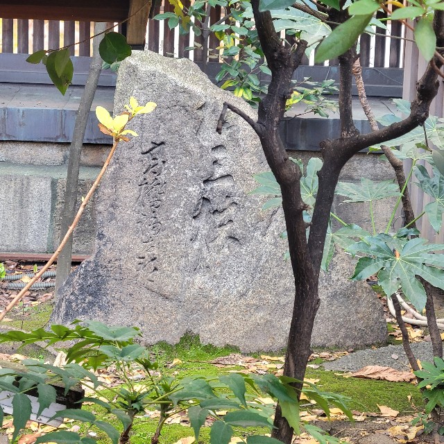 f:id:atoriatoriatori:20230228103621j:image