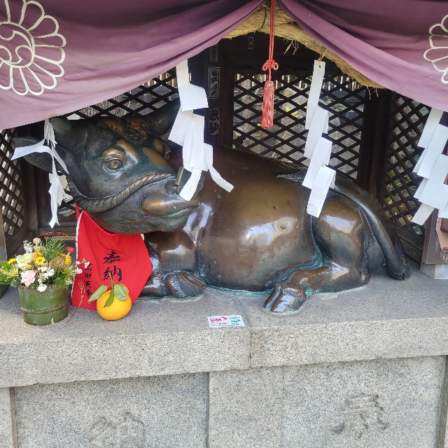 f:id:atoriatoriatori:20230228103636j:image
