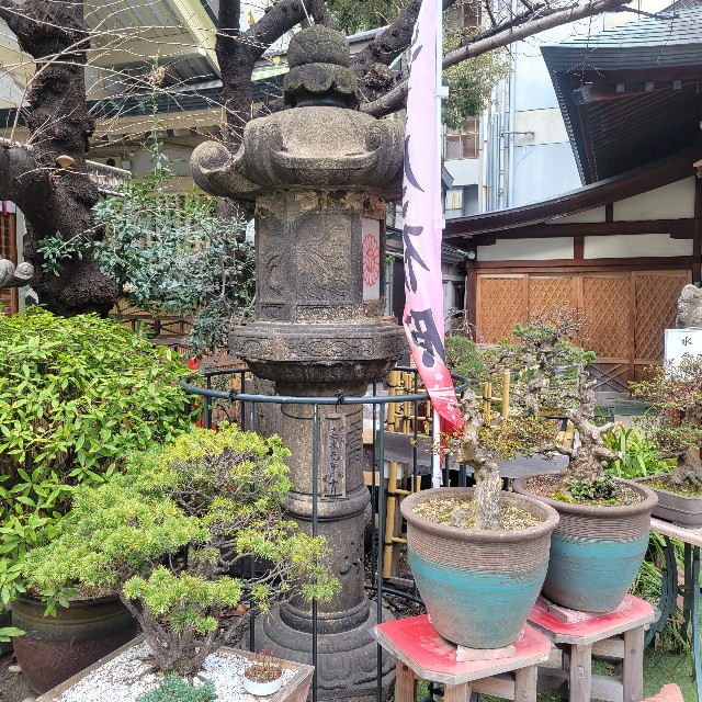 f:id:atoriatoriatori:20230228104135j:image