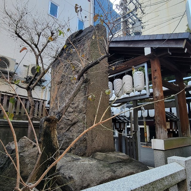 f:id:atoriatoriatori:20230228104811j:image