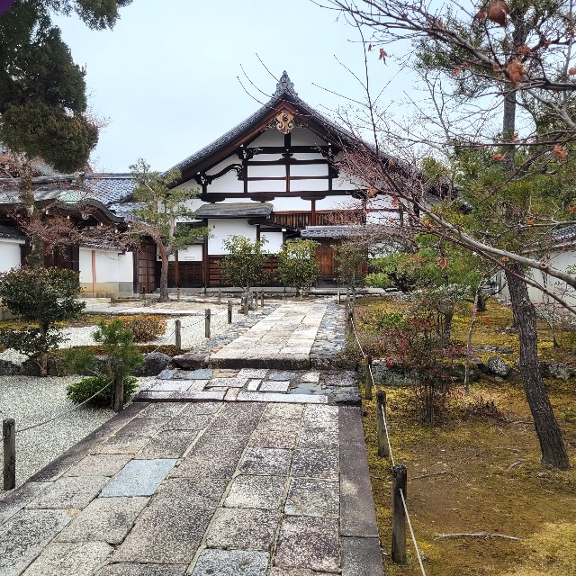 f:id:atoriatoriatori:20230305212151j:image