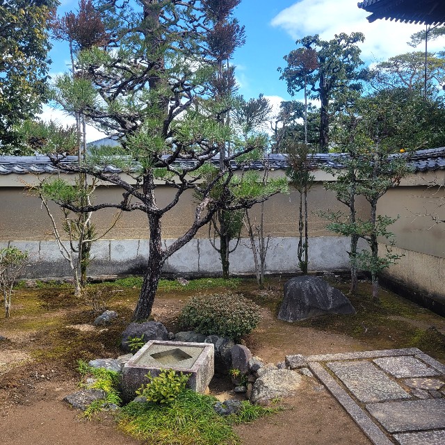 f:id:atoriatoriatori:20230309201623j:image