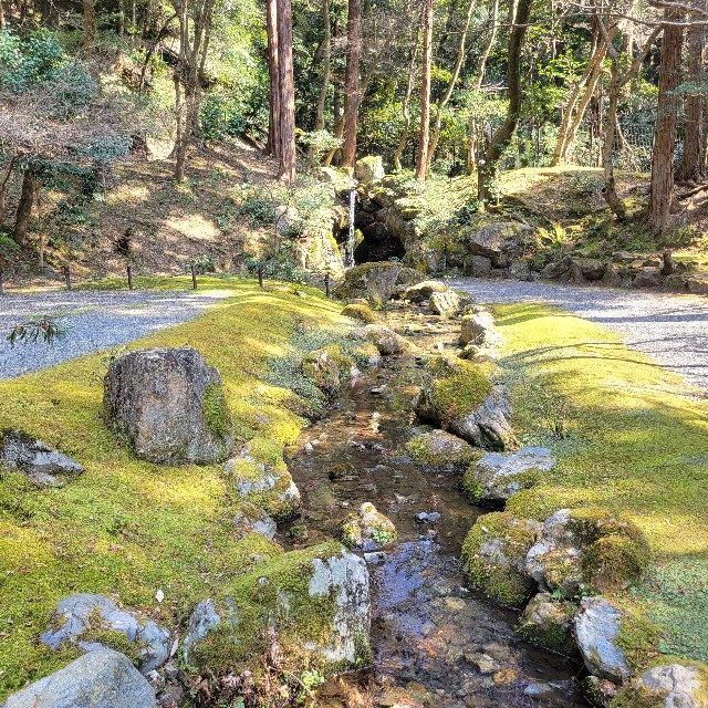 f:id:atoriatoriatori:20230317122743j:image