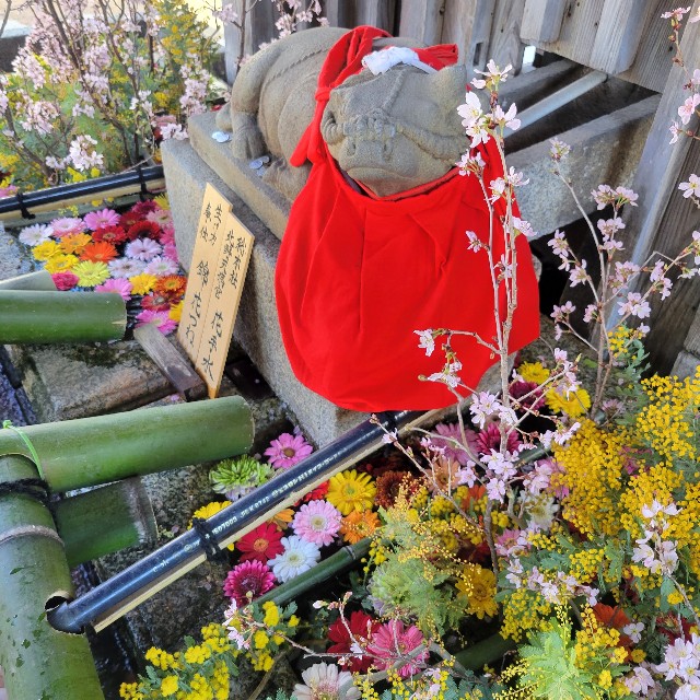 f:id:atoriatoriatori:20230319105232j:image f:id:atoriatoriatori:20230319105232j:image