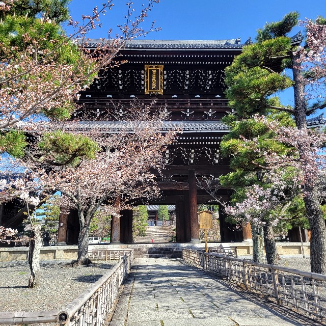 f:id:atoriatoriatori:20230323084310j:image