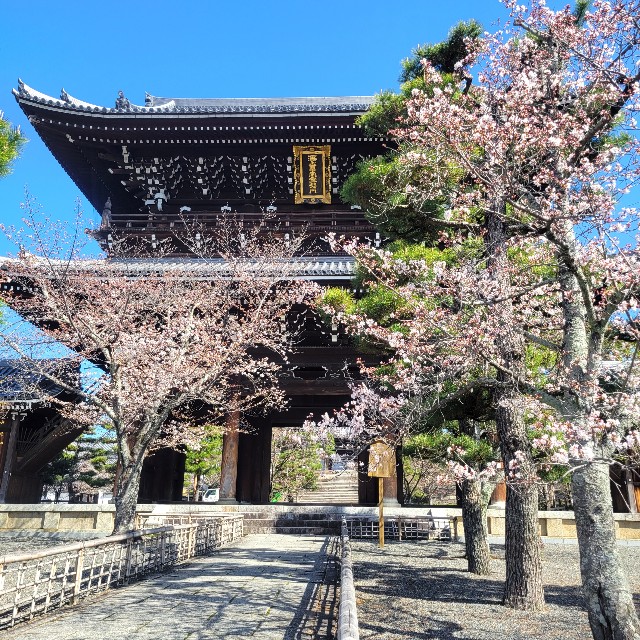 f:id:atoriatoriatori:20230323084320j:image