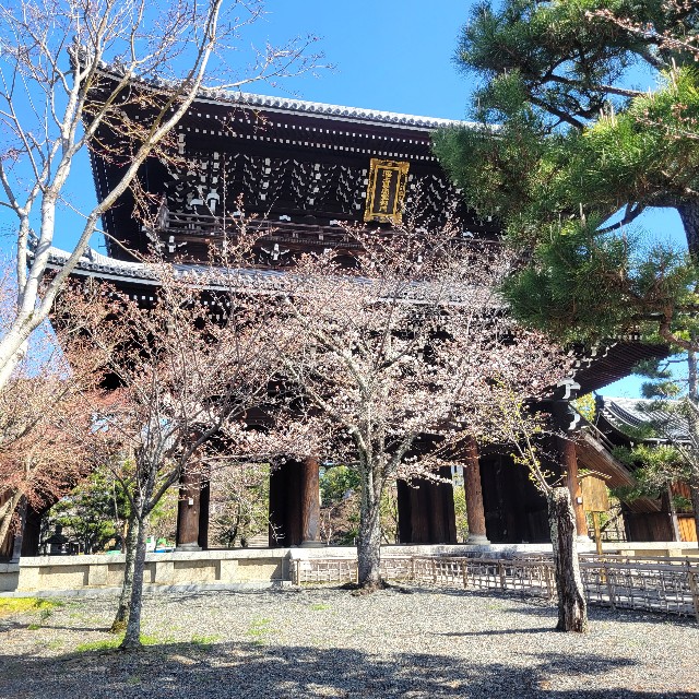 f:id:atoriatoriatori:20230323084345j:image