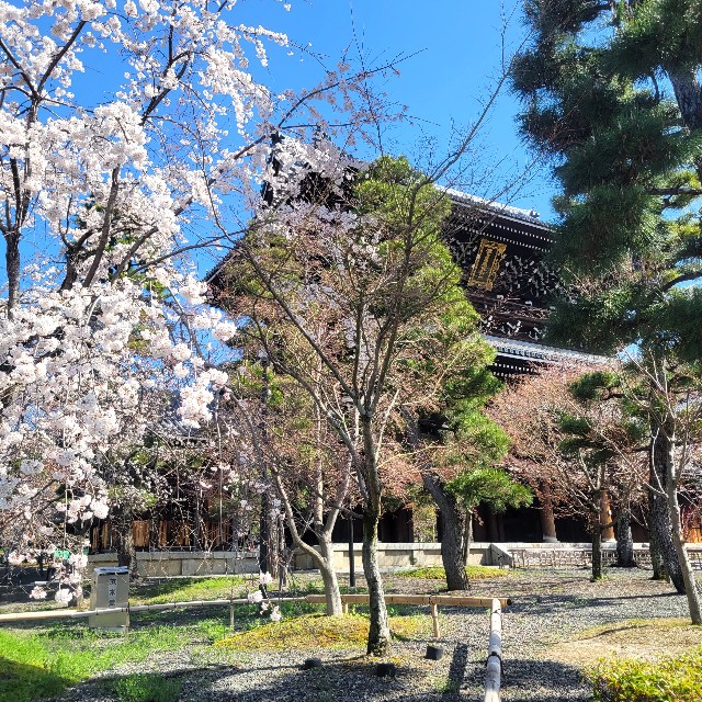 f:id:atoriatoriatori:20230323084353j:image