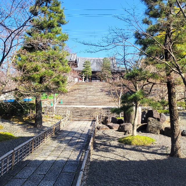 f:id:atoriatoriatori:20230323091406j:image