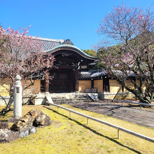 f:id:atoriatoriatori:20230323092914j:image