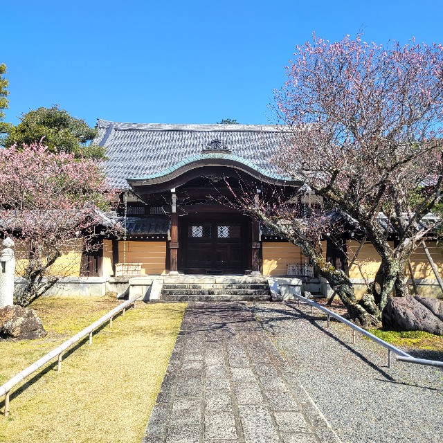 f:id:atoriatoriatori:20230323092921j:image