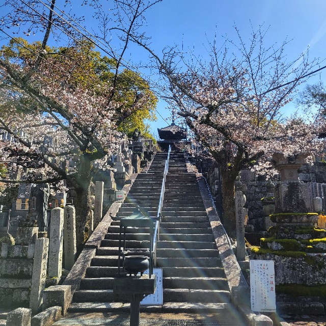 f:id:atoriatoriatori:20230323095331j:image