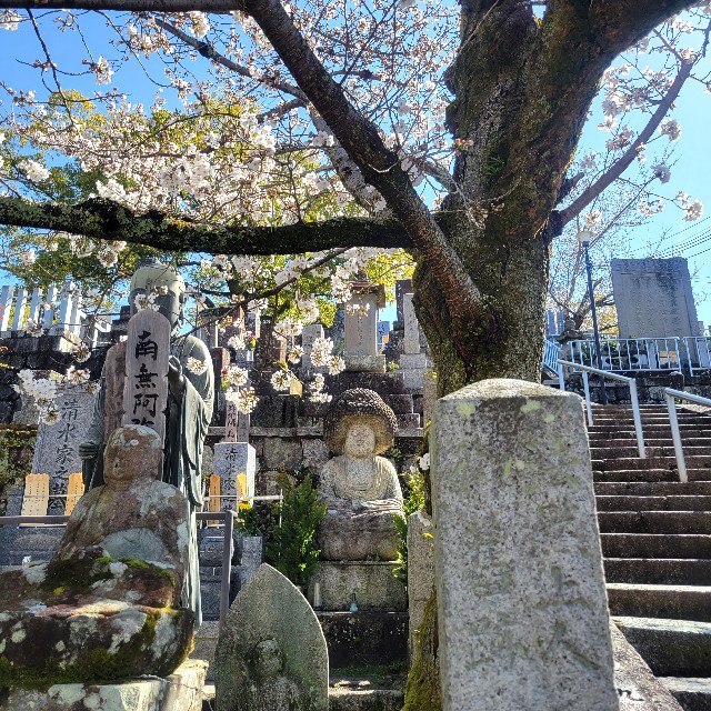 f:id:atoriatoriatori:20230323100349j:image