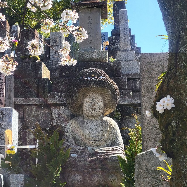 f:id:atoriatoriatori:20230323100437j:image