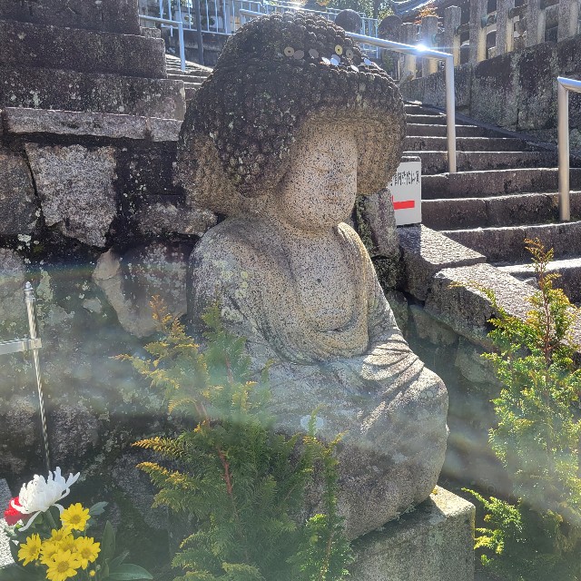 f:id:atoriatoriatori:20230323100445j:image