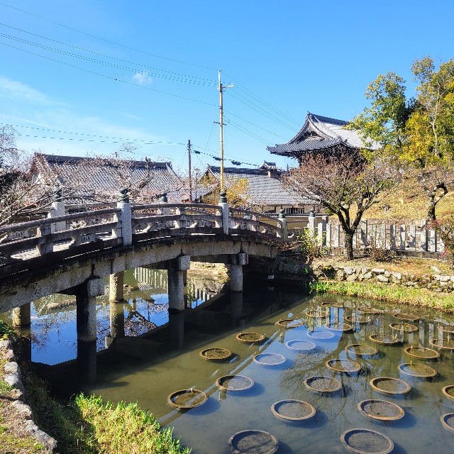 f:id:atoriatoriatori:20230323101756j:image