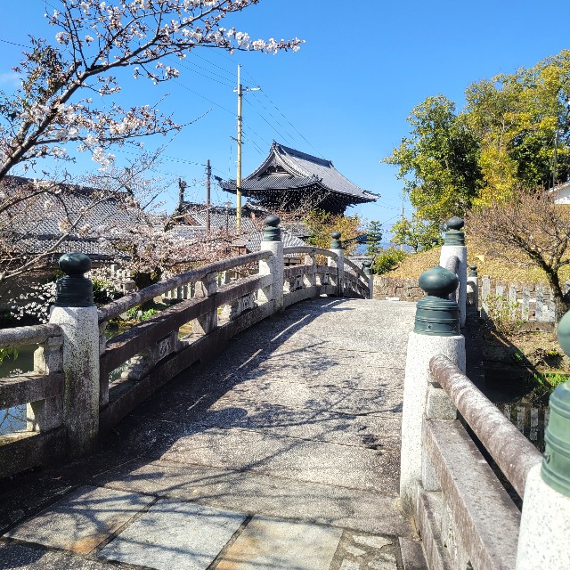 f:id:atoriatoriatori:20230323101802j:image