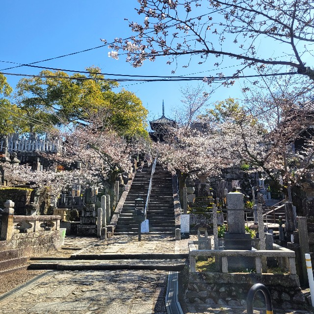 f:id:atoriatoriatori:20230323105413j:image