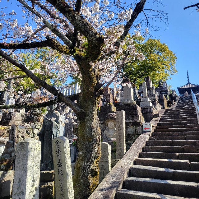 f:id:atoriatoriatori:20230323105427j:image