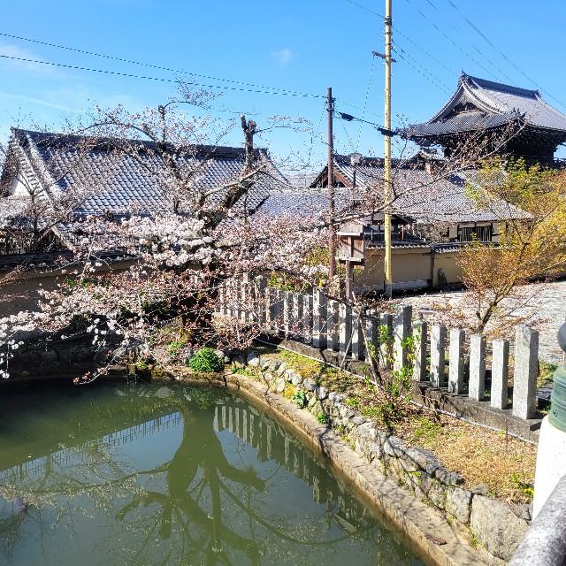 f:id:atoriatoriatori:20230323105501j:image