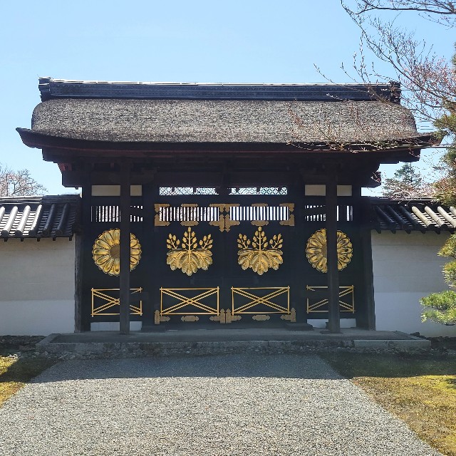 f:id:atoriatoriatori:20230402160211j:image