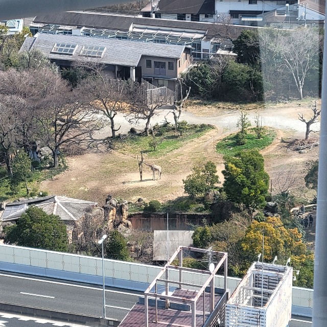 f:id:atoriatoriatori:20230407120311j:image