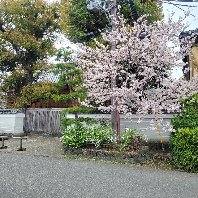 f:id:atoriatoriatori:20230413103702j:image f:id:atoriatoriatori:20230413103702j:image