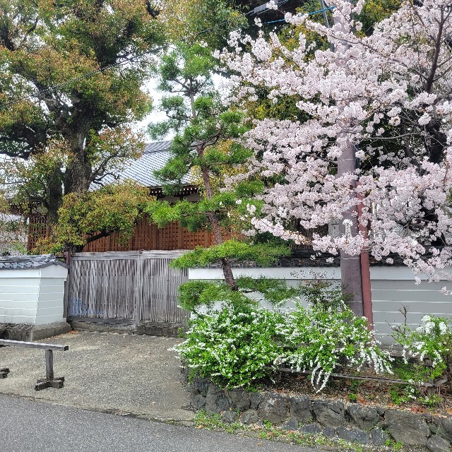 f:id:atoriatoriatori:20230413103709j:image f:id:atoriatoriatori:20230413103709j:image