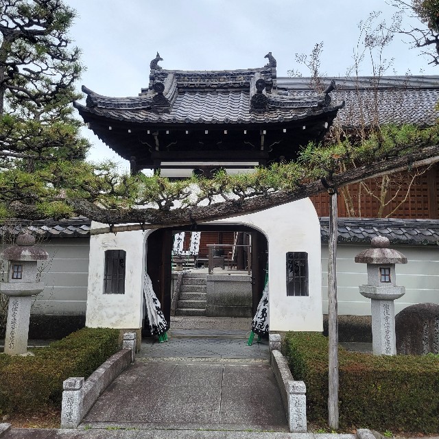 f:id:atoriatoriatori:20230413103716j:image f:id:atoriatoriatori:20230413103716j:image