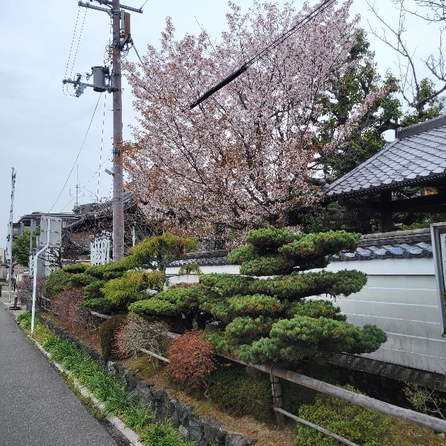 f:id:atoriatoriatori:20230413103909j:image f:id:atoriatoriatori:20230413103909j:image