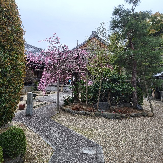 f:id:atoriatoriatori:20230413104141j:image f:id:atoriatoriatori:20230413104141j:image