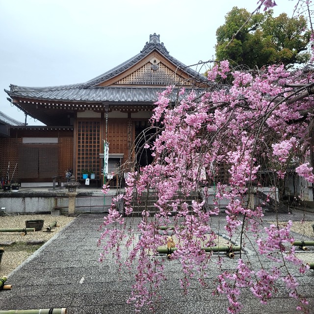 f:id:atoriatoriatori:20230413215205j:image f:id:atoriatoriatori:20230413215205j:image