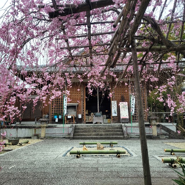 f:id:atoriatoriatori:20230413215212j:image f:id:atoriatoriatori:20230413215212j:image