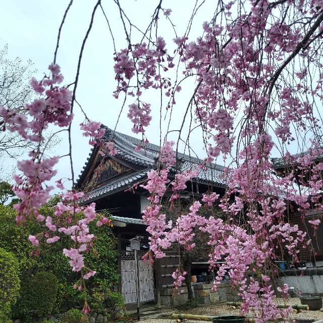 f:id:atoriatoriatori:20230413215219j:image f:id:atoriatoriatori:20230413215219j:image