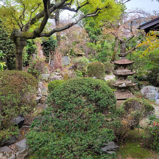 f:id:atoriatoriatori:20230415145842j:image f:id:atoriatoriatori:20230415145842j:image